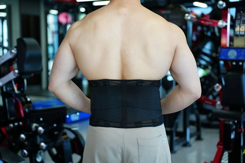 Reinforced Back Support Belt best